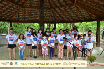 Foto - Programa Paraná Mais Verde - Parte II