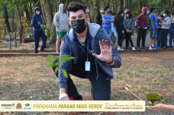 Foto - Programa Paraná Mais Verde