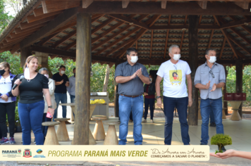 Foto - Programa Paraná Mais Verde