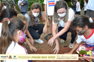 Foto - Programa Paraná Mais Verde - Parte II