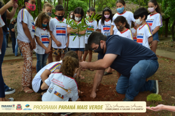 Foto - Programa Paraná Mais Verde - Parte II