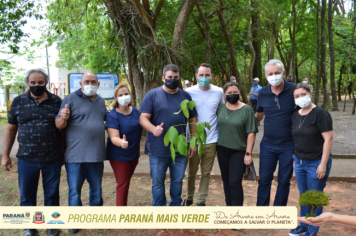 Foto - Programa Paraná Mais Verde - Parte II