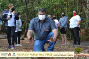 Foto - Programa Paraná Mais Verde