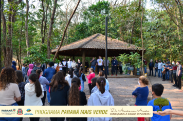 Foto - Programa Paraná Mais Verde