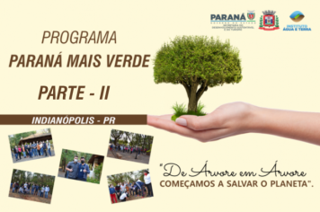 Foto - Programa Paraná Mais Verde - Parte II