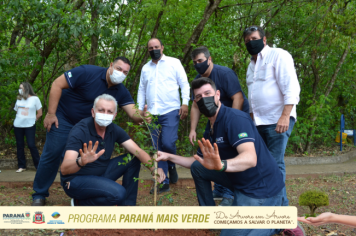 Foto - Programa Paraná Mais Verde - Parte II