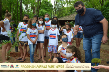 Foto - Programa Paraná Mais Verde - Parte II