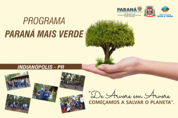 Foto - Programa Paraná Mais Verde