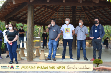 Foto - Programa Paraná Mais Verde