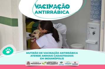 Mutirão de Vacinação Antirrábica atende animais cadastrados em Indianópolis