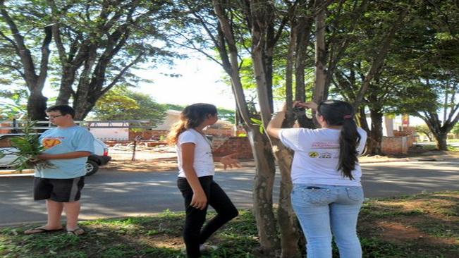 Indianópolis realiza plantação de Orquídea no Combate a Dengue!